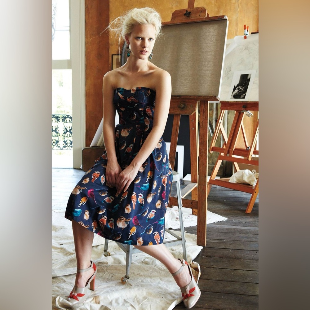 Native Birds Dress